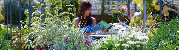 Foto: Frau auf Terrasse umgeben von Kübelpflanzen