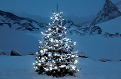 Weihnachtsbaum mit Lichtern in Winterlandschaft