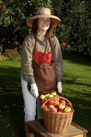 Frau mit Pflücktasche und Korb voller Äpfel