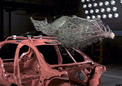 Crashtest: Weihnachtsbaum rutscht vom Dach