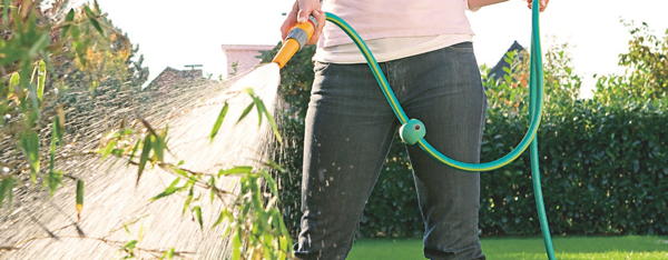Foto: Frau spritzt Pflanzen mit Gartenschlauch