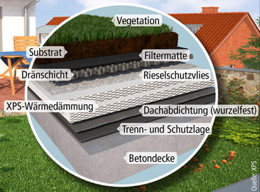 Grafik Schichtaufbau für einen Dachgarten