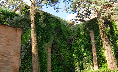 Haus mit bepflanzter Fassade