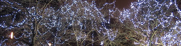 Bäume mit Lichterketten