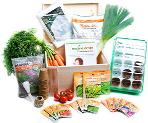 Sachaufnahme Gemüsegarten-Box 