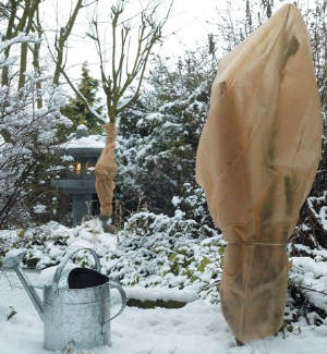 Wetterschutzhaube in winterlicher Gartenszene