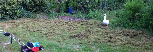Foto: Frisch vertikutierter Rasen mit Filz
