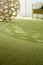 Zimmer mit grünlichem Teppichboden