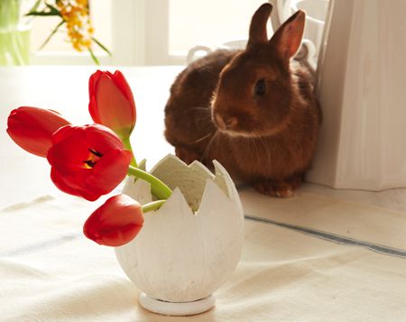 (Foto: Kokosnuss-Ostervase mit Kaninchen im Hintergrund) 